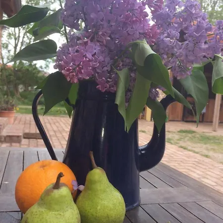 Guest house Stilvolle Gaestezimmer Auf Romantischem Pferdehof Rehagen