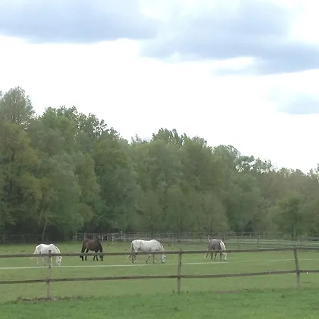 Guest house Stilvolle Gaestezimmer Auf Romantischem Pferdehof Rehagen
