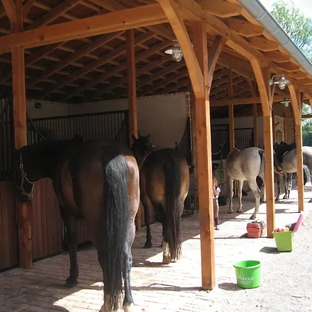 Stilvolle Gaestezimmer Auf Romantischem Pferdehof Guest house 3*