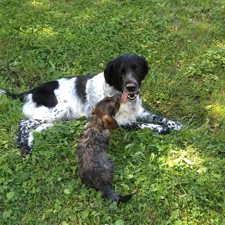 Stilvolle Gaestezimmer Auf Romantischem Pferdehof Rehagen