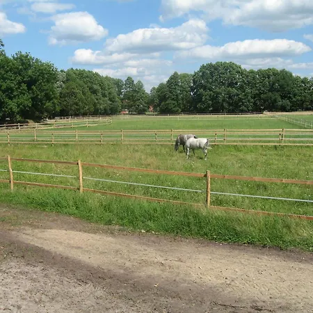 Guest house Stilvolle Gaestezimmer Auf Romantischem Pferdehof 3*