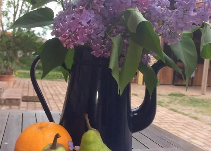 Pensjonat Stilvolle Gaestezimmer Auf Romantischem Pferdehof Rehagen