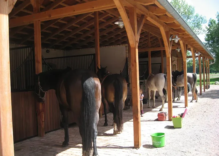 Stilvolle Gaestezimmer Auf Romantischem Pferdehof Pensjonat 3*