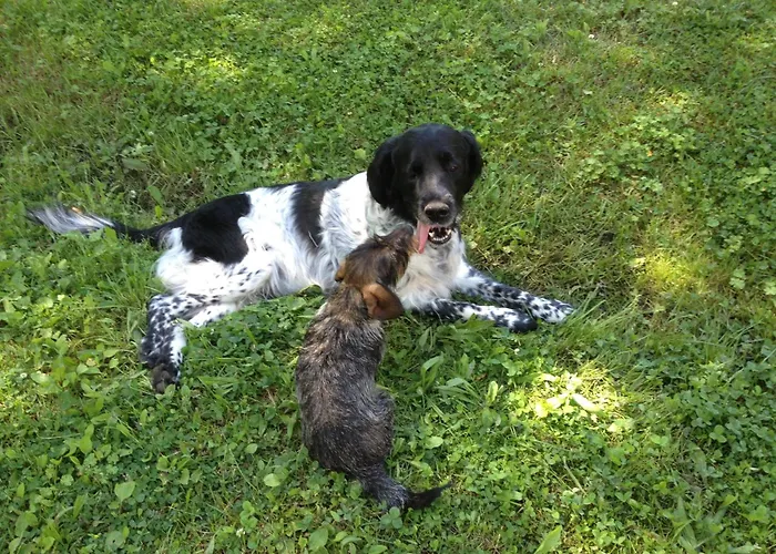 Stilvolle Gaestezimmer Auf Romantischem Pferdehof Rehagen